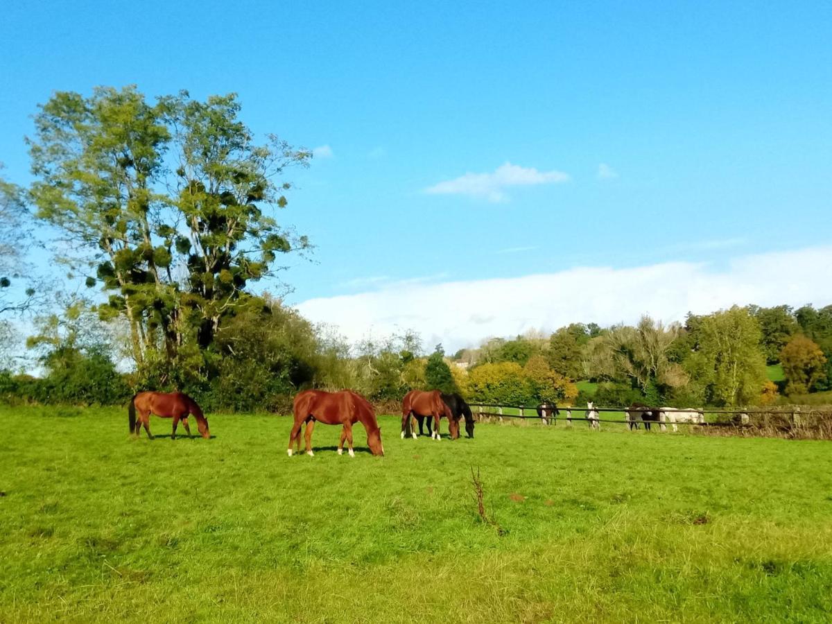 Relais Equestre Du Miloir - Chambres D'Hotes Saint-Desir ภายนอก รูปภาพ