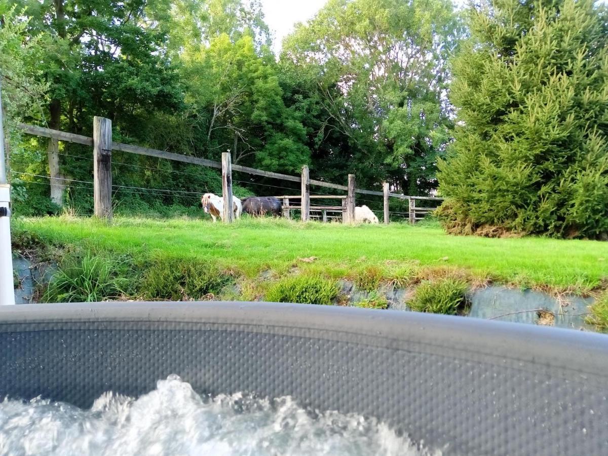 Relais Equestre Du Miloir - Chambres D'Hotes Saint-Desir ภายนอก รูปภาพ