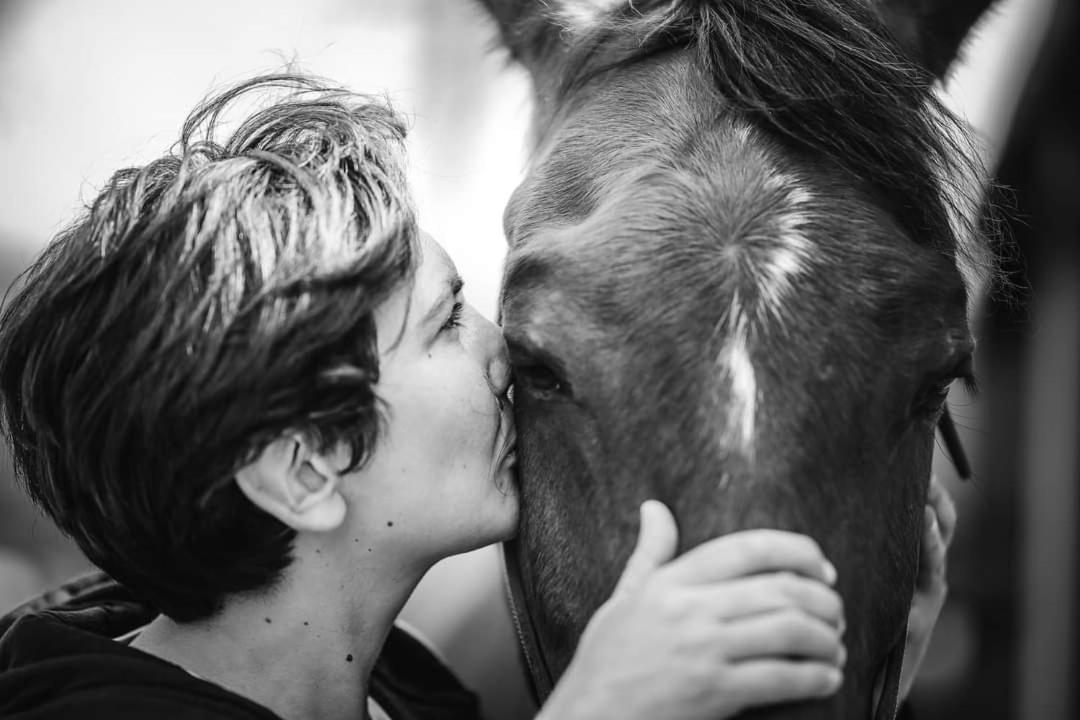 Relais Equestre Du Miloir - Chambres D'Hotes Saint-Desir ภายนอก รูปภาพ