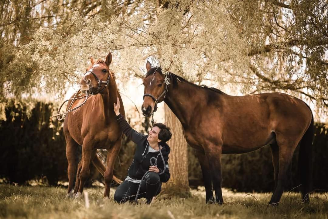 Relais Equestre Du Miloir - Chambres D'Hotes Saint-Desir ภายนอก รูปภาพ