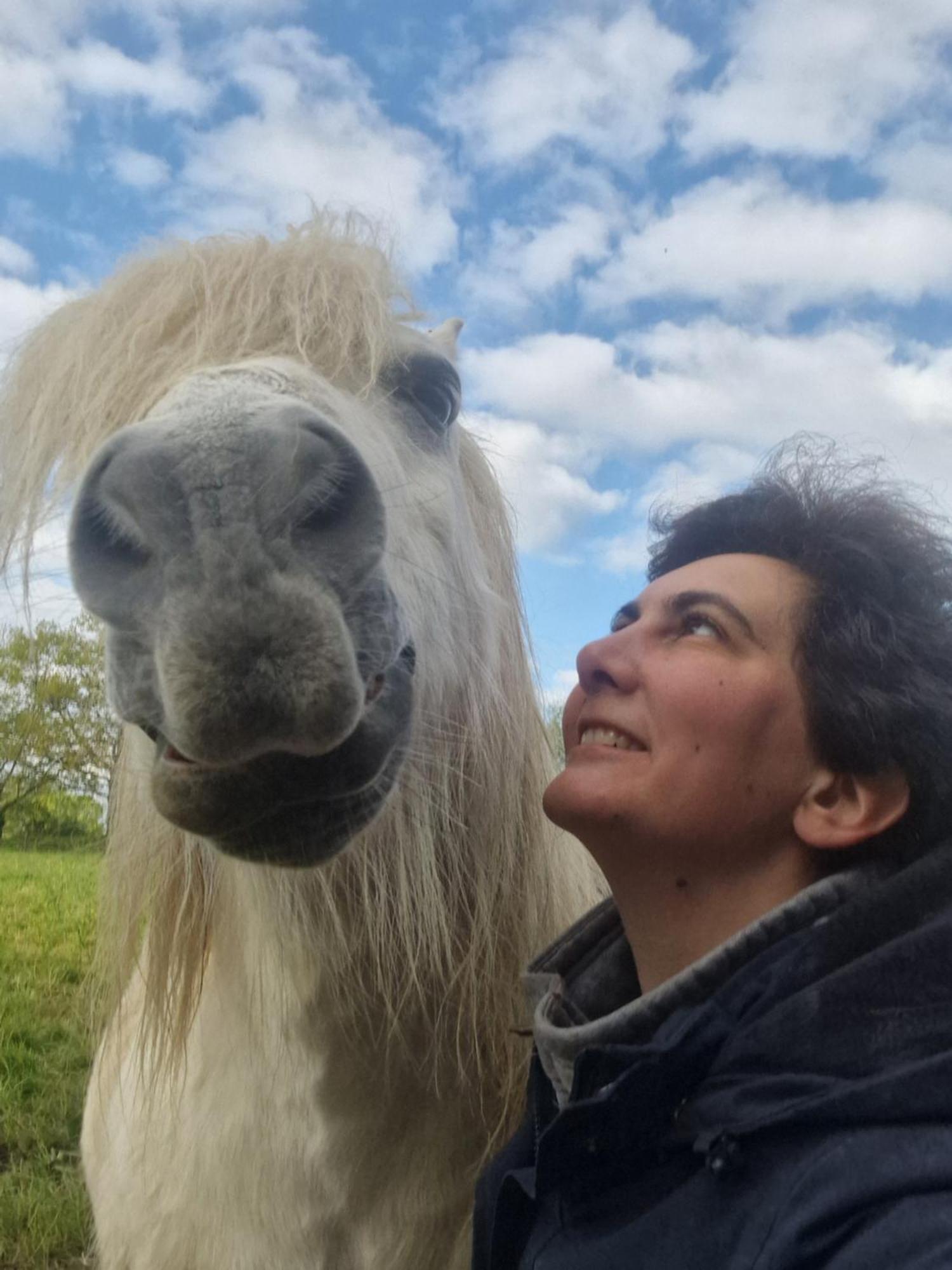Relais Equestre Du Miloir - Chambres D'Hotes Saint-Desir ภายนอก รูปภาพ